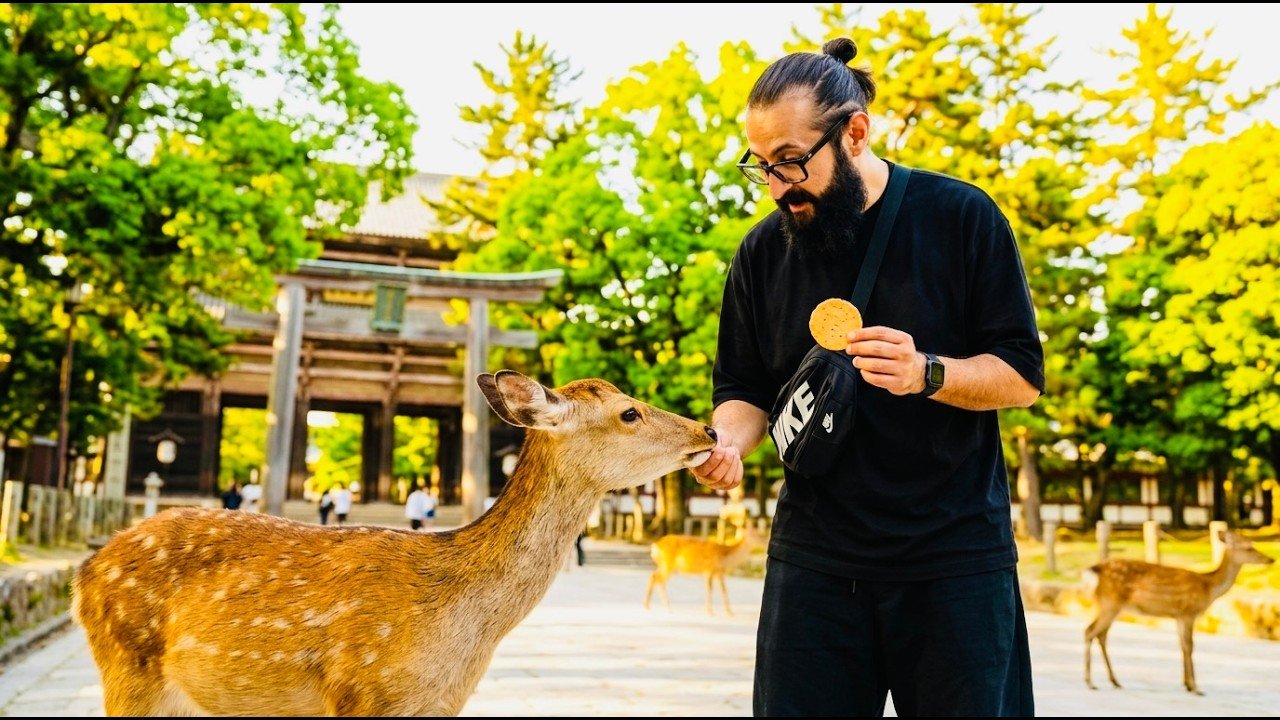 Nara’nın Selam Veren Geyikleri! 🦌 Kyoto’dan Nara’ya Yolculuk ve Park Turu 🇯🇵