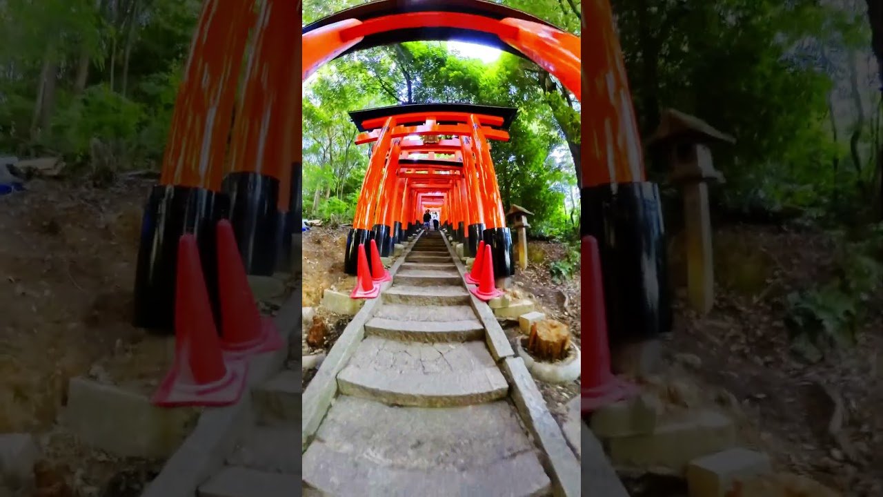 10.000 kapının sakladığı sırrı çözmek için sislerin arasına giriyoruz. 🌿🏮